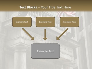 Female Old Elder PowerPoint Template