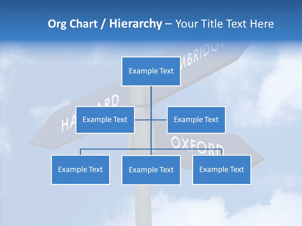 Senior  Sharing Hold PowerPoint Template