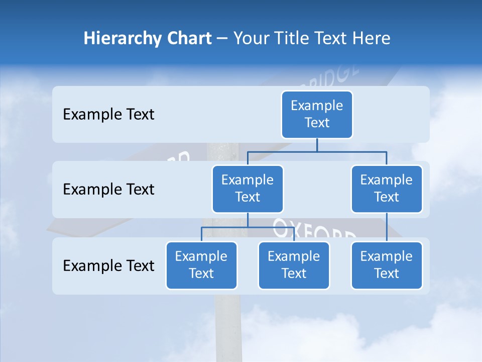 Senior  Sharing Hold PowerPoint Template