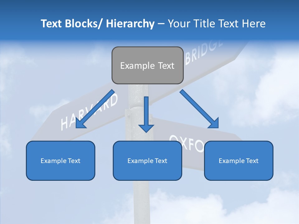 Senior  Sharing Hold PowerPoint Template