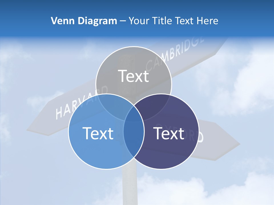 Senior  Sharing Hold PowerPoint Template