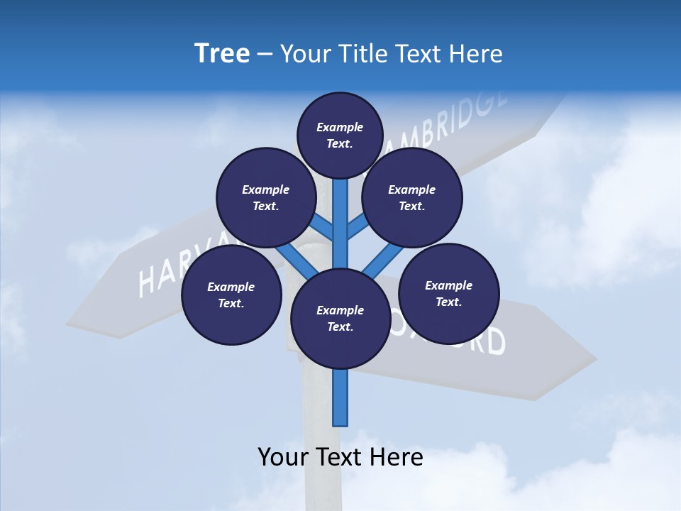 Senior  Sharing Hold PowerPoint Template