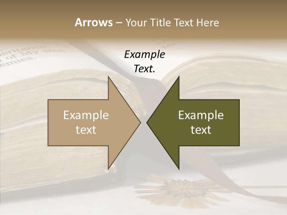 Adult Finger Women PowerPoint Template