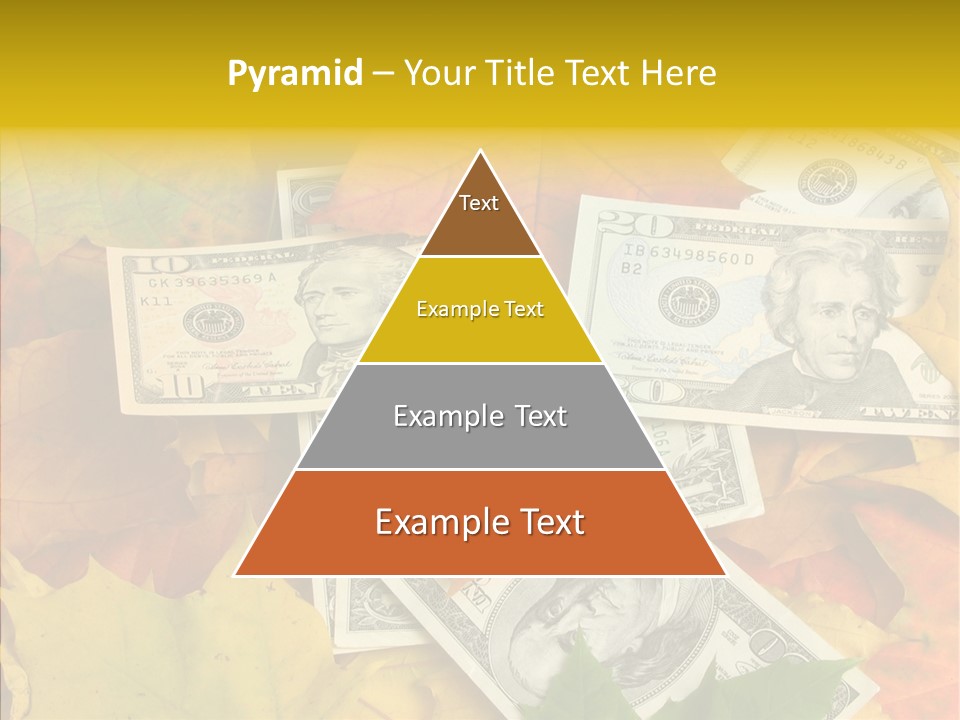 Caregiver  Holding Hands PowerPoint Template