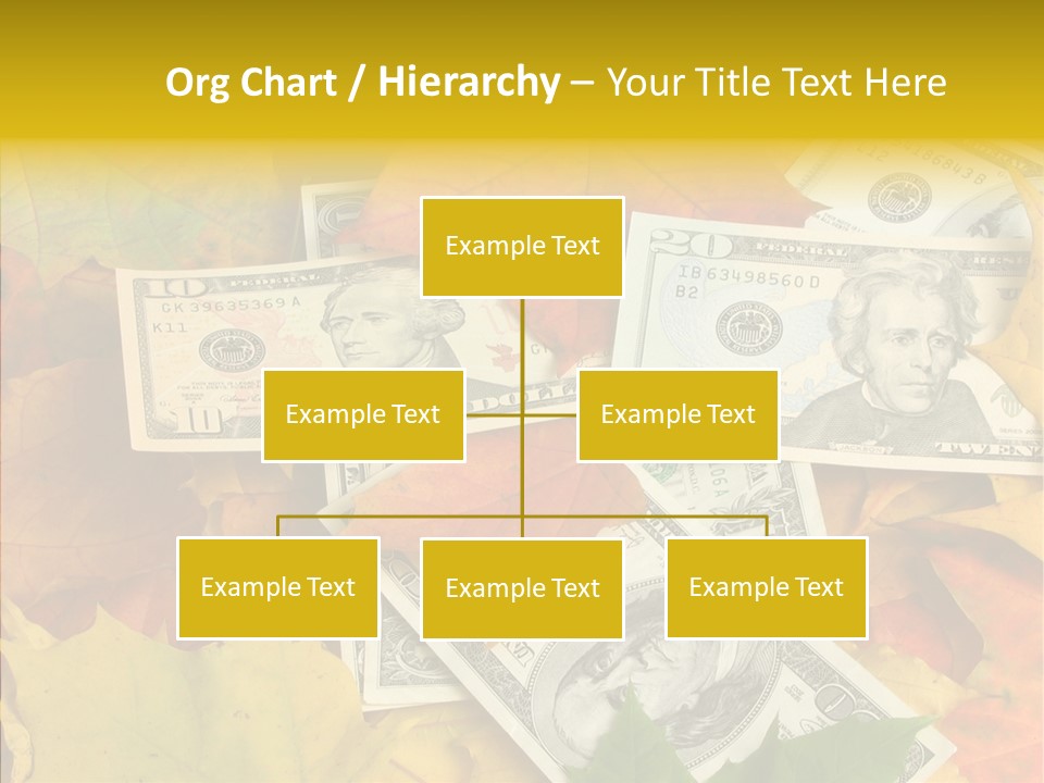 Caregiver  Holding Hands PowerPoint Template