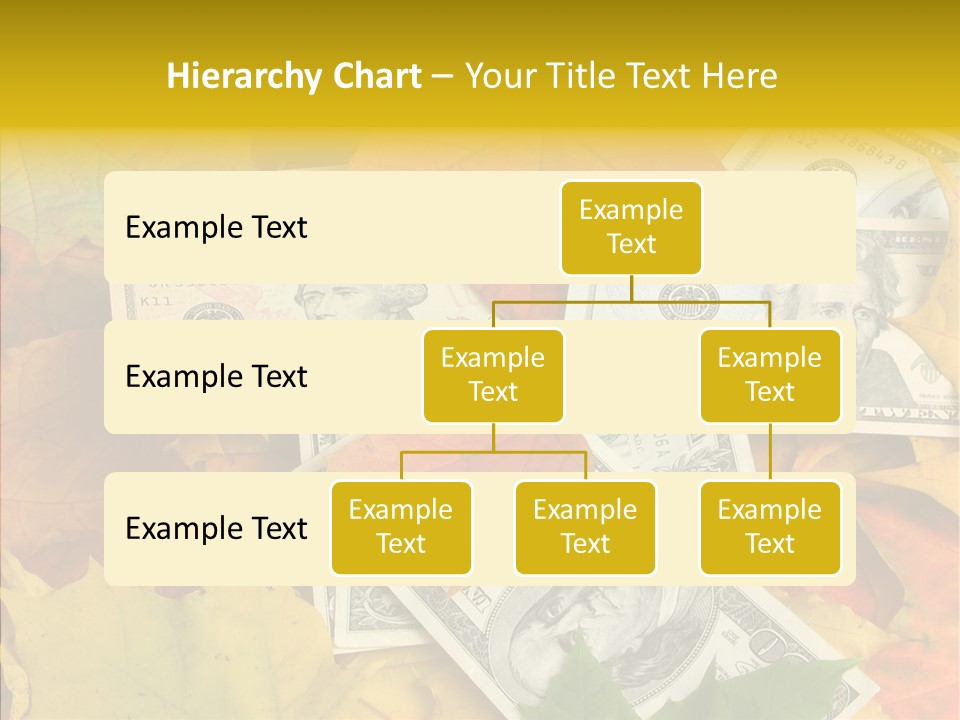 Caregiver  Holding Hands PowerPoint Template