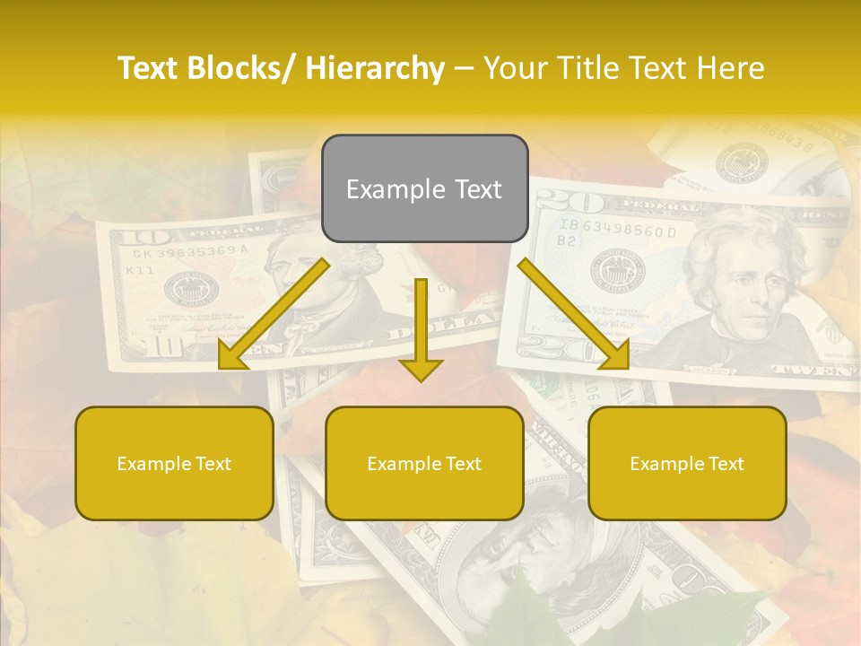 Caregiver  Holding Hands PowerPoint Template