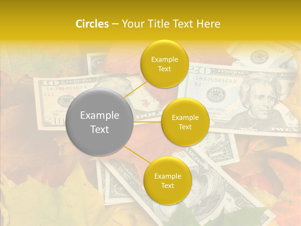 Caregiver  Holding Hands PowerPoint Template