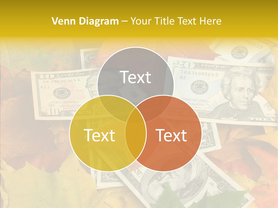 Caregiver  Holding Hands PowerPoint Template