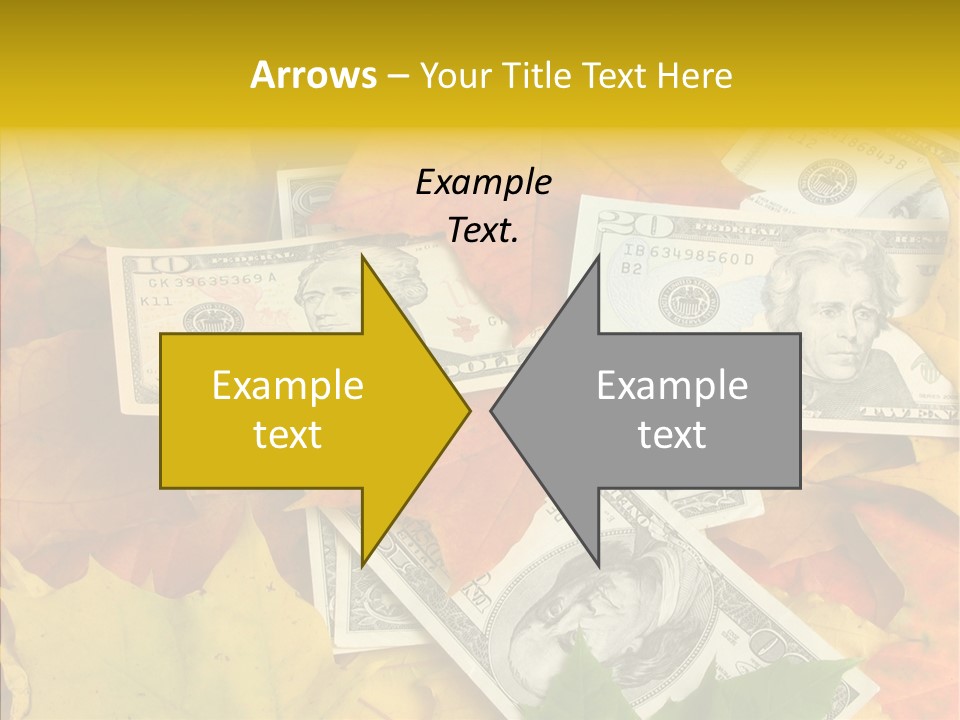 Caregiver  Holding Hands PowerPoint Template