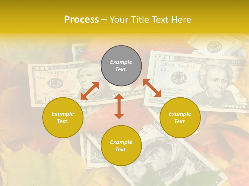 Caregiver  Holding Hands PowerPoint Template