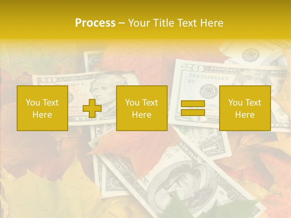 Caregiver  Holding Hands PowerPoint Template