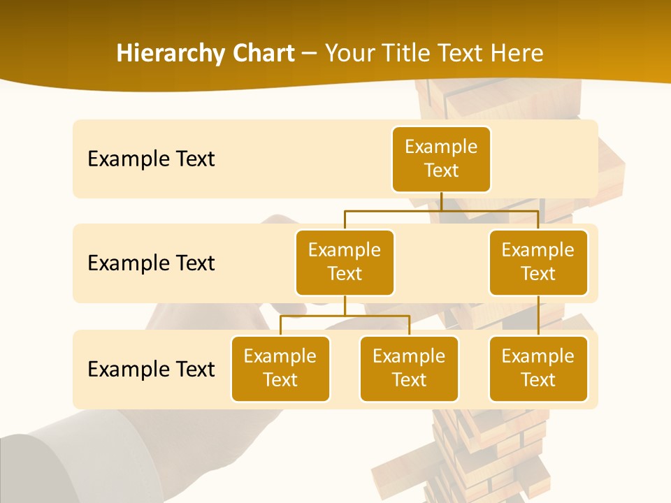 Elderly Elder Assist PowerPoint Template