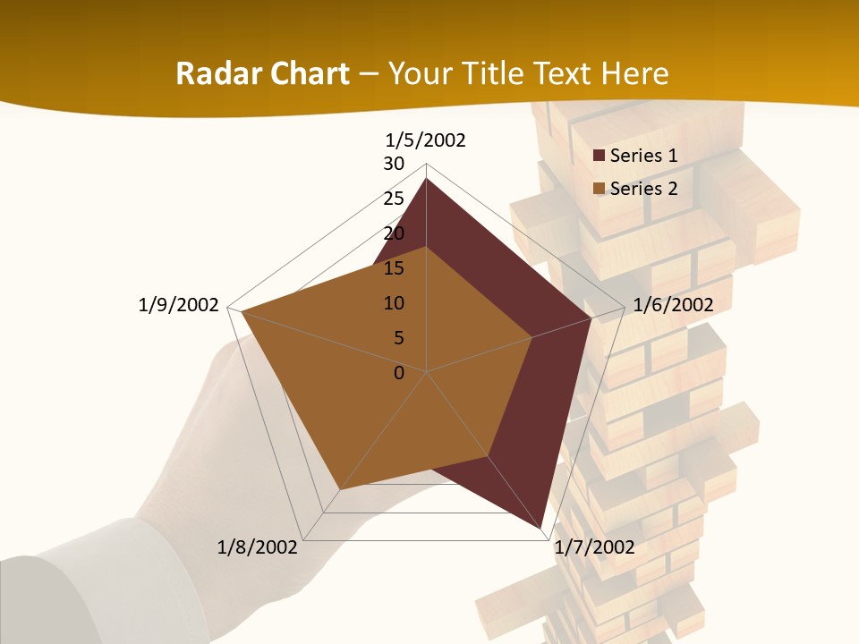 Elderly Elder Assist PowerPoint Template