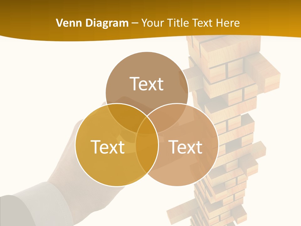 Elderly Elder Assist PowerPoint Template