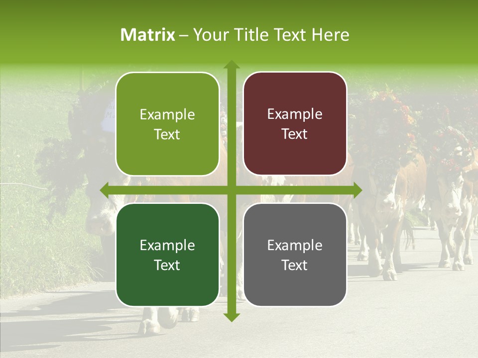 Caregiver Closeup White Background PowerPoint Template