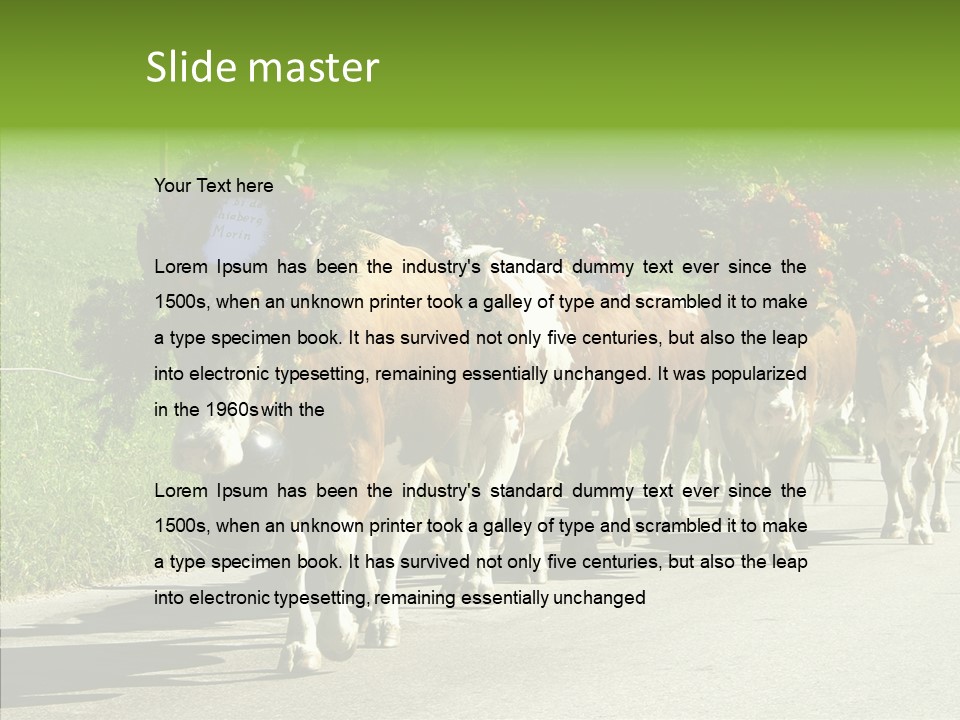 Caregiver Closeup White Background PowerPoint Template