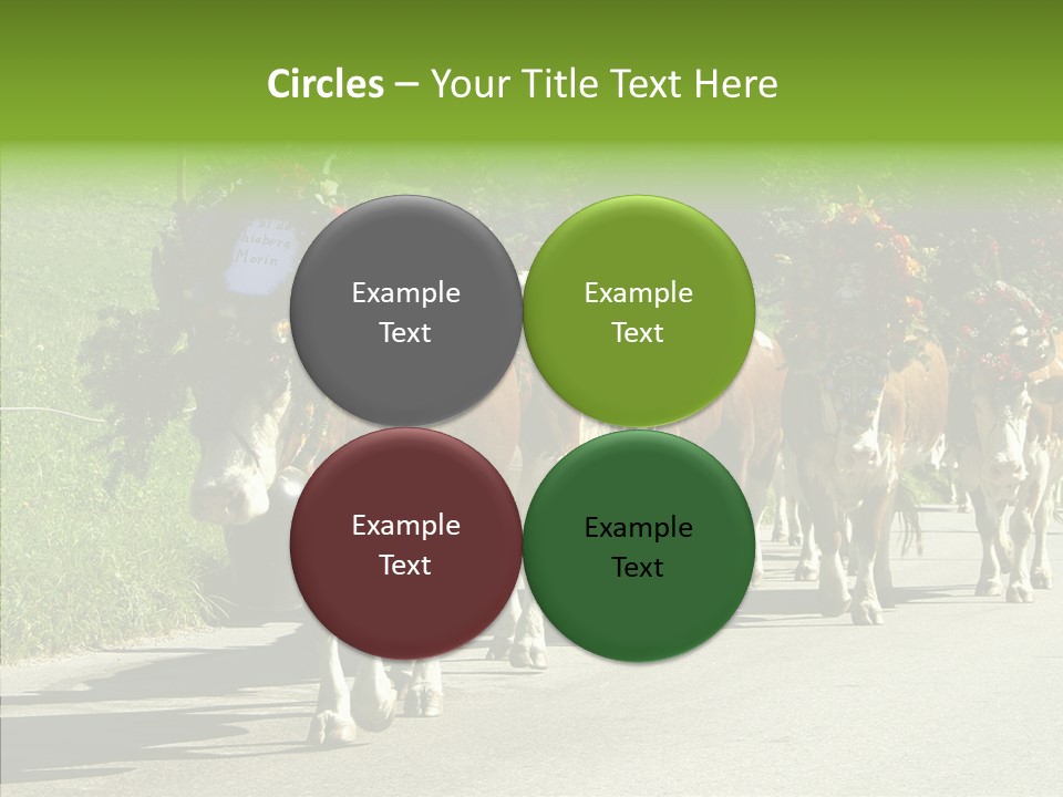 Caregiver Closeup White Background PowerPoint Template