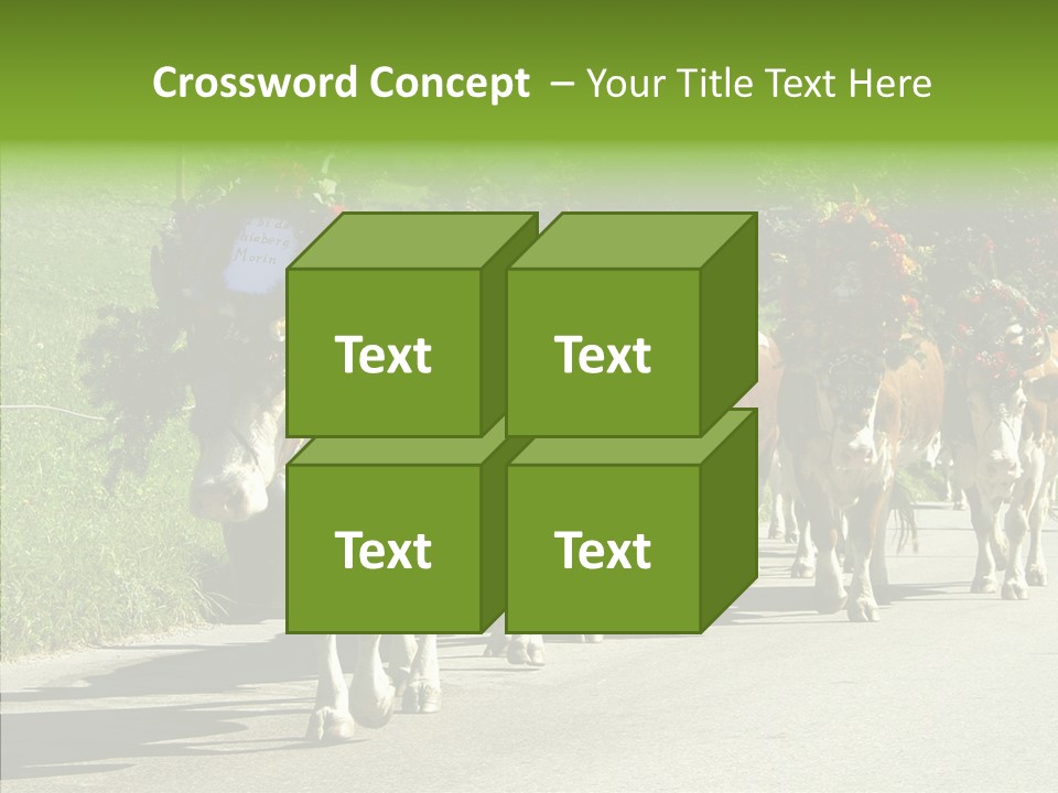 Caregiver Closeup White Background PowerPoint Template