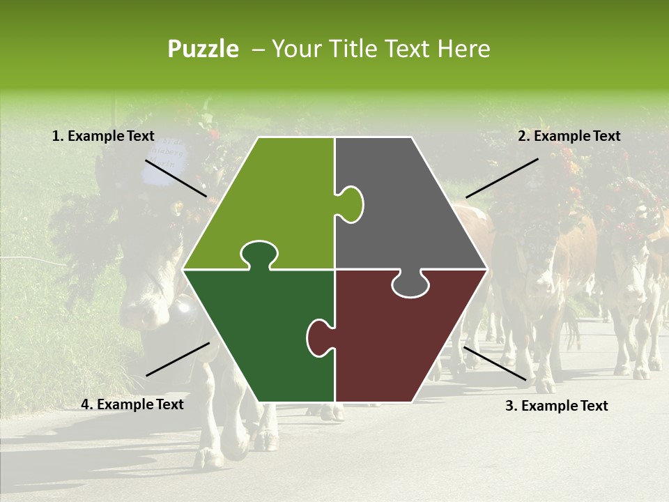 Caregiver Closeup White Background PowerPoint Template