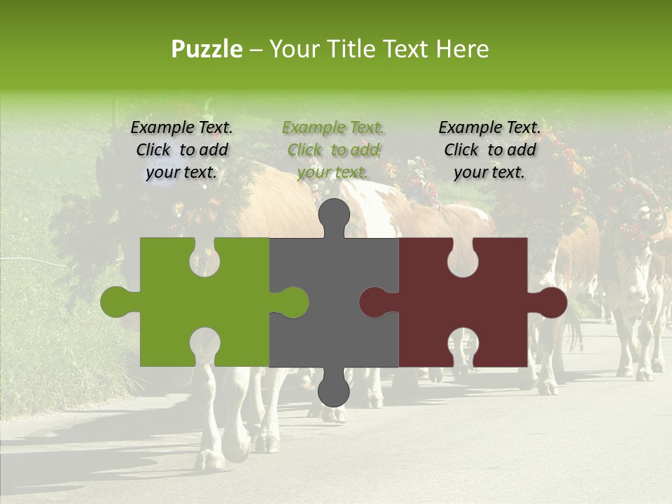 Caregiver Closeup White Background PowerPoint Template