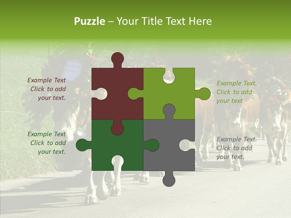 Caregiver Closeup White Background PowerPoint Template