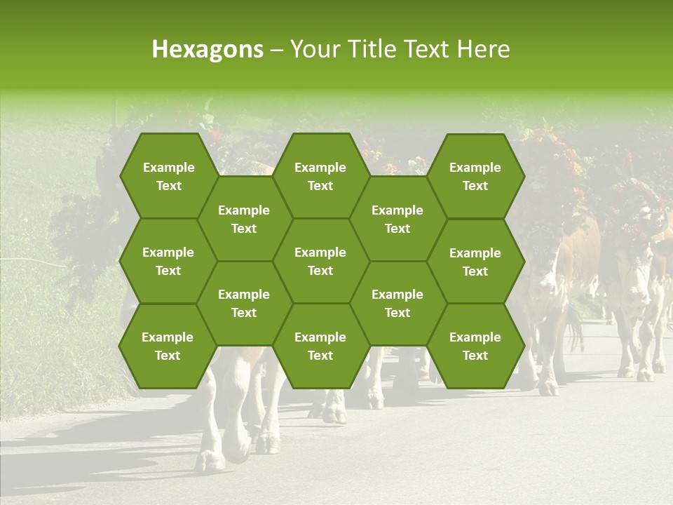 Caregiver Closeup White Background PowerPoint Template