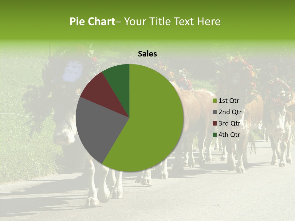 Caregiver Closeup White Background PowerPoint Template