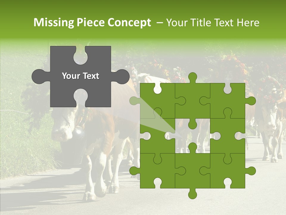 Caregiver Closeup White Background PowerPoint Template