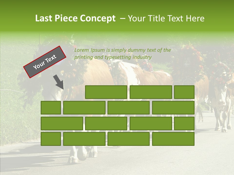 Caregiver Closeup White Background PowerPoint Template