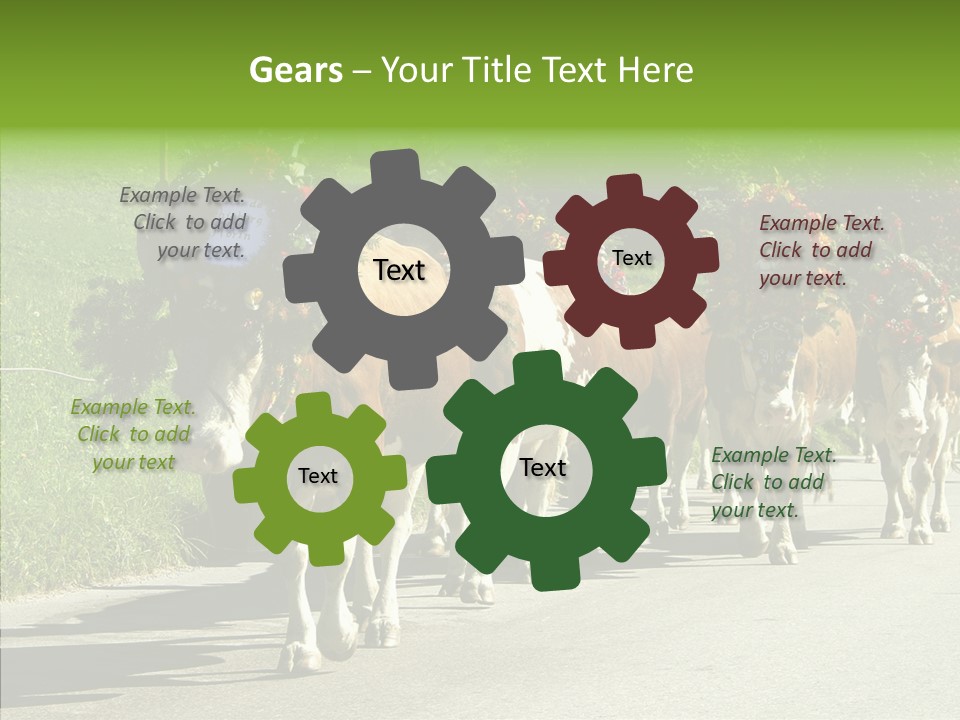 Caregiver Closeup White Background PowerPoint Template