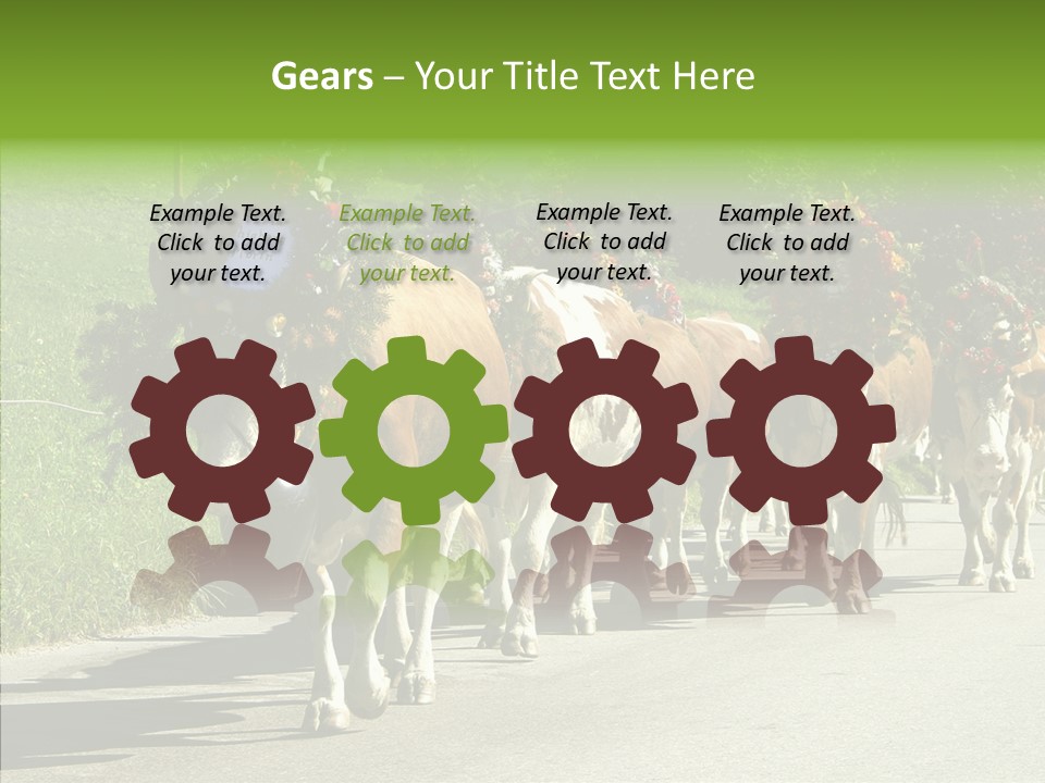 Caregiver Closeup White Background PowerPoint Template