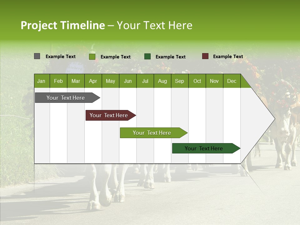 Caregiver Closeup White Background PowerPoint Template