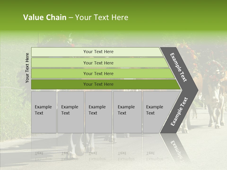 Caregiver Closeup White Background PowerPoint Template