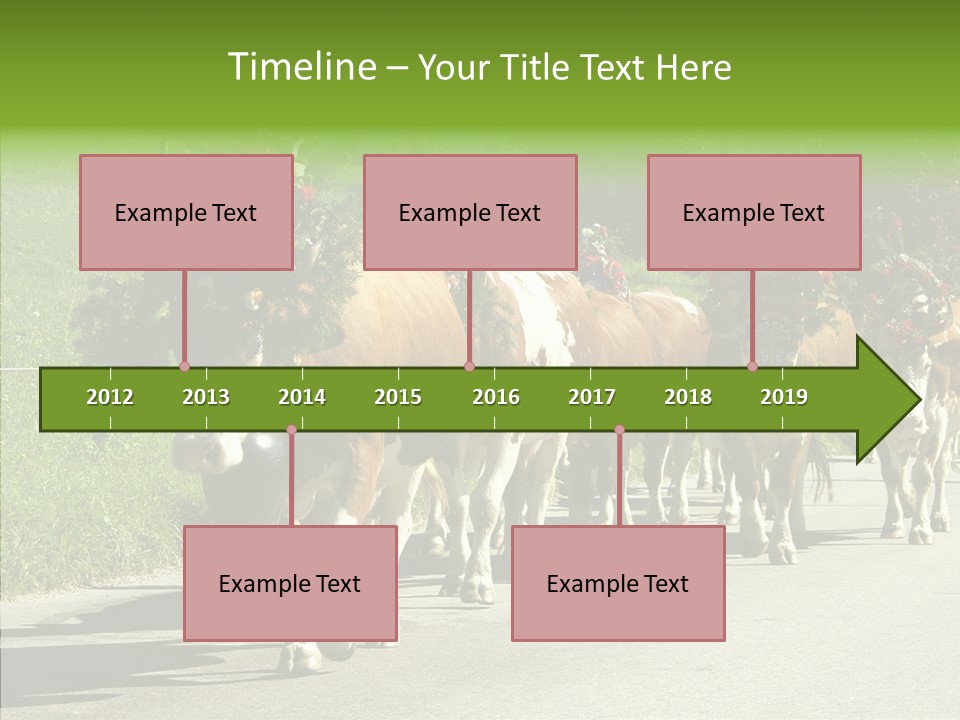 Caregiver Closeup White Background PowerPoint Template