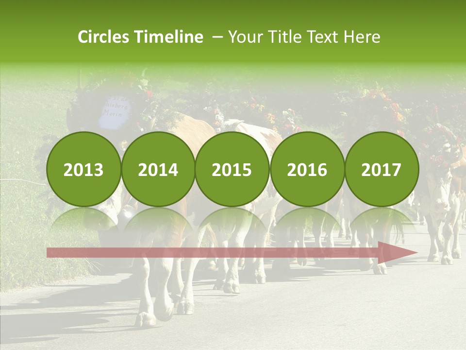 Caregiver Closeup White Background PowerPoint Template