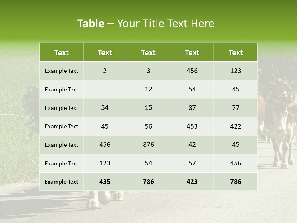 Caregiver Closeup White Background PowerPoint Template