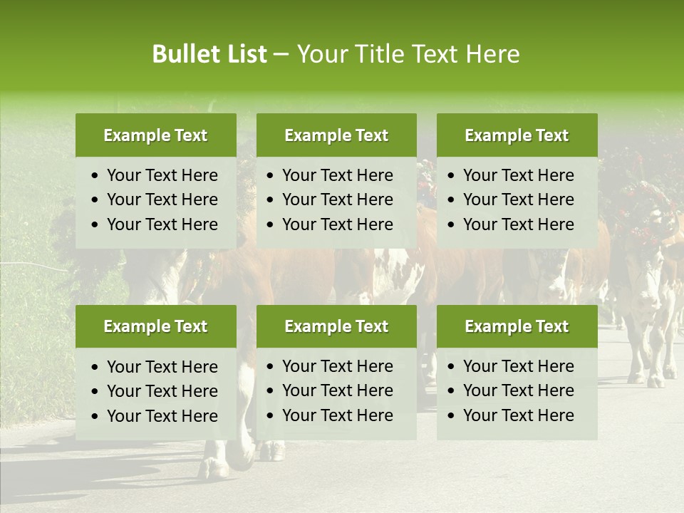 Caregiver Closeup White Background PowerPoint Template