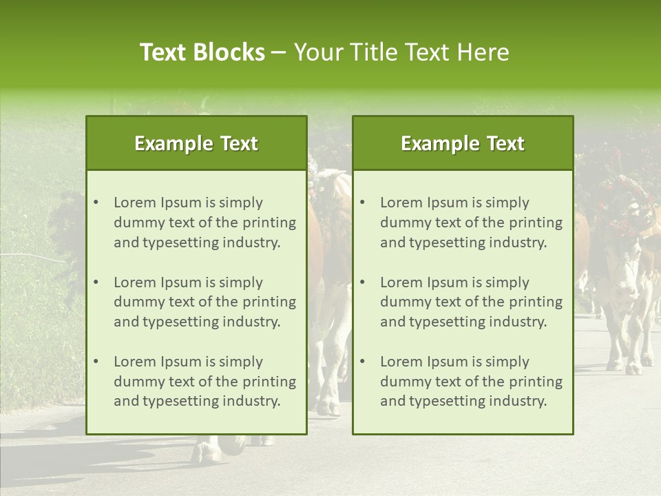 Caregiver Closeup White Background PowerPoint Template