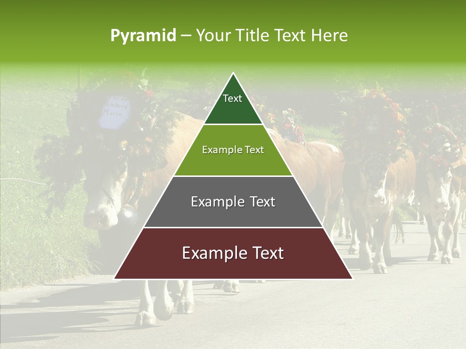 Caregiver Closeup White Background PowerPoint Template