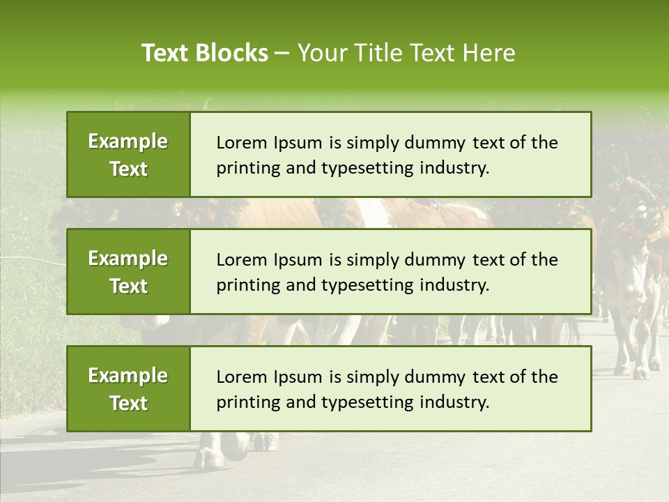 Caregiver Closeup White Background PowerPoint Template