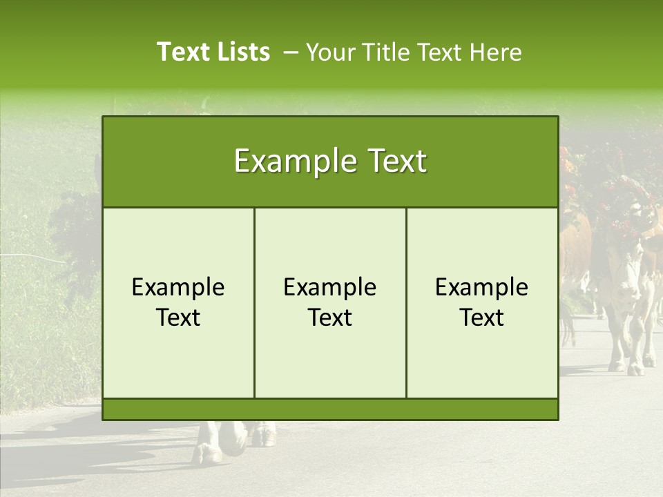 Caregiver Closeup White Background PowerPoint Template