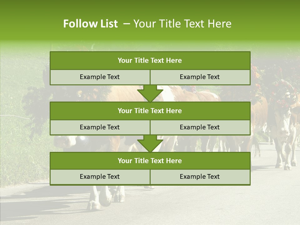 Caregiver Closeup White Background PowerPoint Template