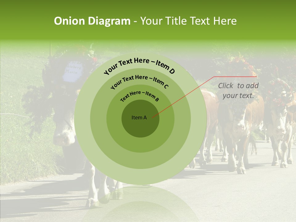 Caregiver Closeup White Background PowerPoint Template