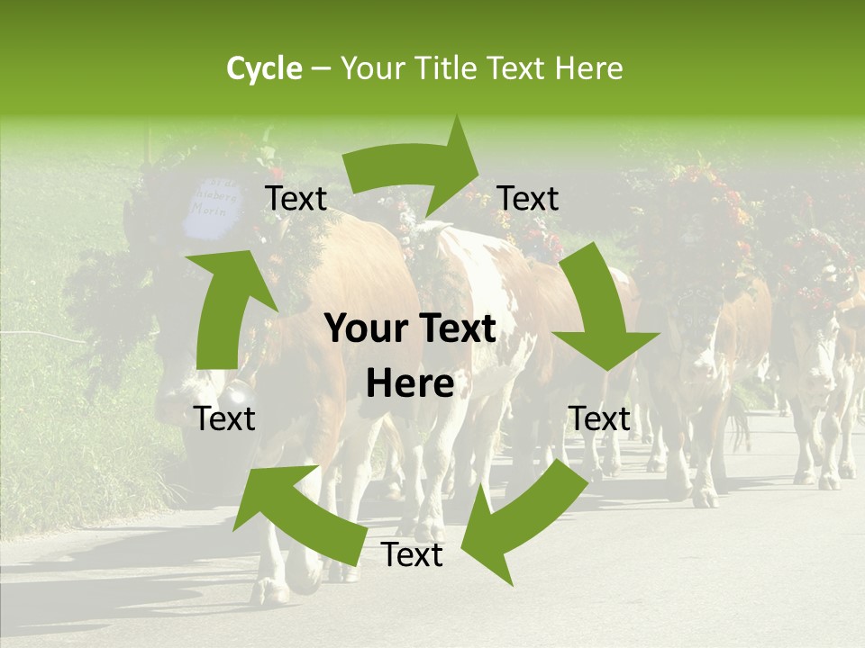 Caregiver Closeup White Background PowerPoint Template