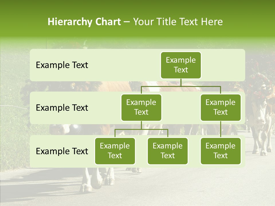 Caregiver Closeup White Background PowerPoint Template