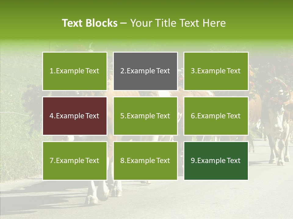 Caregiver Closeup White Background PowerPoint Template