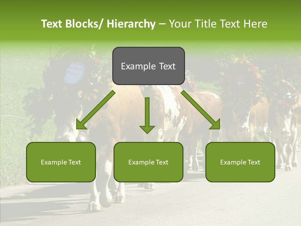 Caregiver Closeup White Background PowerPoint Template