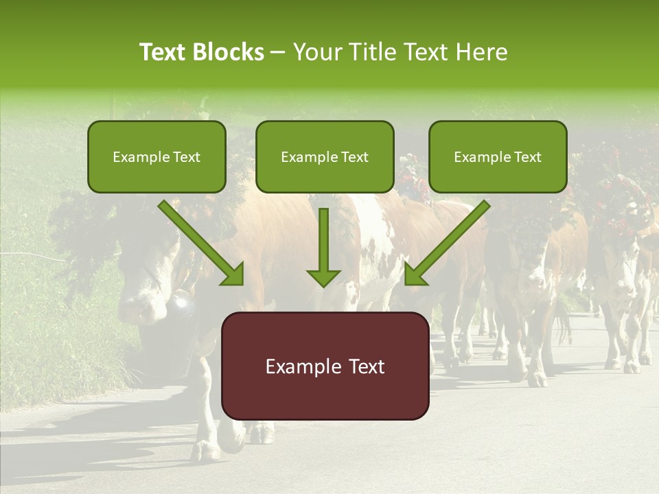 Caregiver Closeup White Background PowerPoint Template