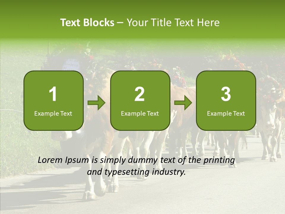 Caregiver Closeup White Background PowerPoint Template